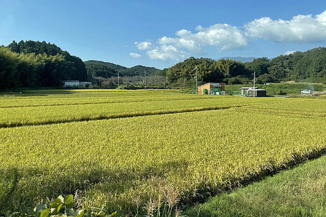 20211006-06 里山.jpg
